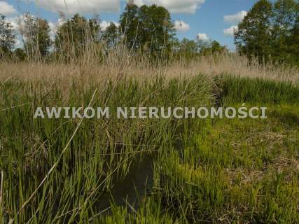 Działka budowlana na sprzedaż, 1500 m2, Sewerynów