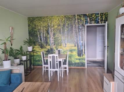 Mieszkanie we Władysławowie 300 m. od plaży