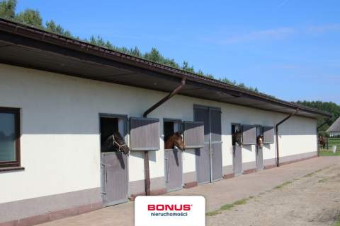 Dom na sprzedaż, 162 m2, Dobropole