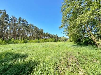 Działka, warunki zabudowy, 2900 m2/Czarne Błoto.