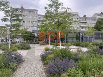 4-pokojowe mieszkanie w samym centrum miasta