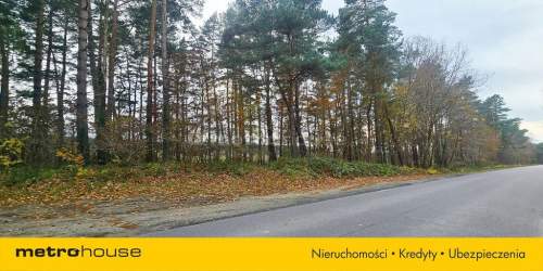 LAS 100 metrów od MORZA NAD RZEKĄ