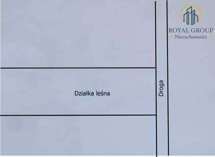 Działka leśna