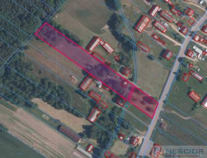 Działka 6700m2 na sprzedaż z siedliskiem