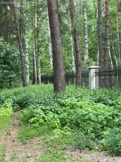 Międzylesie, 1907 m2, MPZP, pod rezydencję w lesie