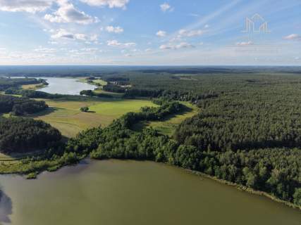 3,3 ha w sercu Borów Tucholskich - łąki las Mermet