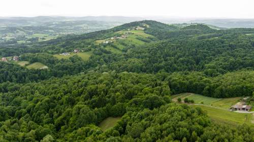 Prywatny las 41 ar Siemiechów, gm. Gromnik