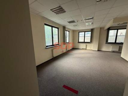 Biuro dla dużej organizacji Całe piętro 368,35 m2