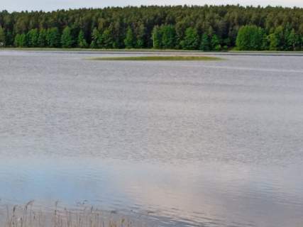 Działka nad jeziorem