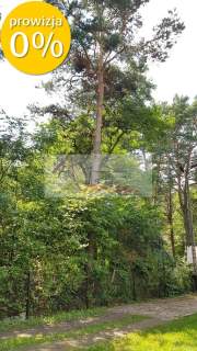 OKAZJA NAD LIWCEM