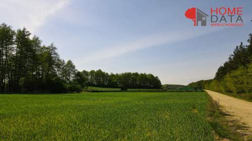 Działki w otoczeniu natury - Jaszkowo k/Śremu