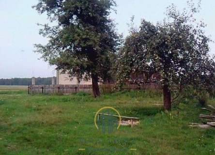 Działka las jezioro
