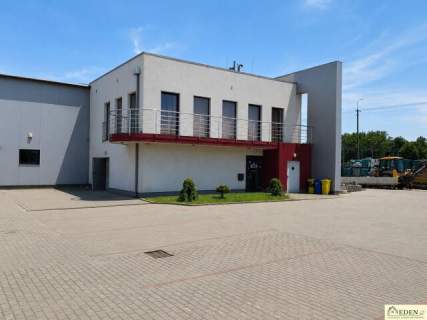 Do wynajęcia Hala z pomieszczeniami biurowymi 1600m2 400m2 w...