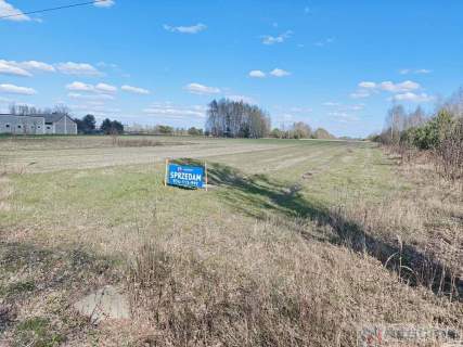 Działka rolna 5800 m2 -Dąbrowa, gm Mrozy