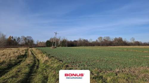 Działka 45a, Budziwój