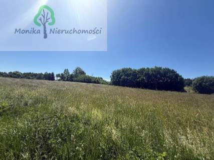 Działka rolna - 16.500 m2 za 150 tyś zł