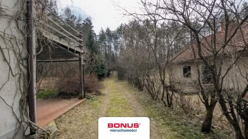 Prywatna Enklawa w Sercu Lasu 1,29 ha Działki