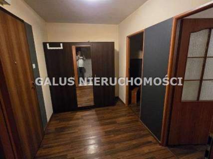 Łepkowskiego 3 do wynajęcia