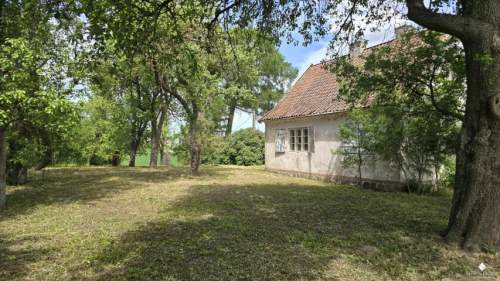 Siedlisko bez sąsiadów 4400 m2 prywatności Stary sad i wę