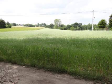 Okolice Skały-Wielmoża