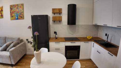 Gotowy apartament, 2 pokoje, Nowe Centrum Łodzi, Klimatyzacj