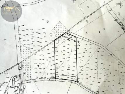 Działka 4090 m2 z warunkami zabudowy - Boreczna