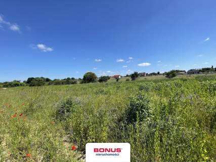 Działka nad jeziorem, Moryń