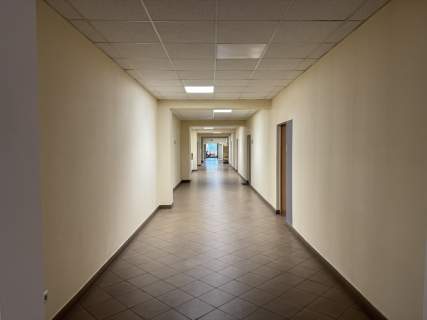 Biura na wynajem Henryków, Białołęka