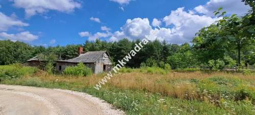 Siedlisko WARUNKI ZABUDOWY - 9400m2 lOkazja