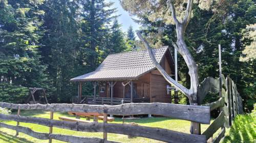 Bajeczna okolica - las, widok, natura