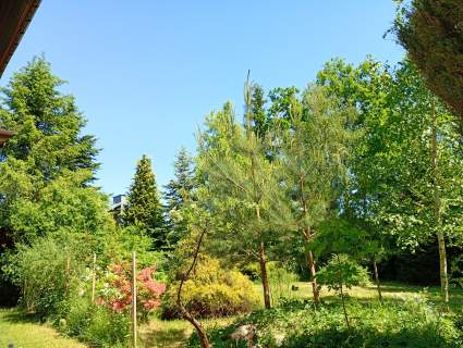 Dom przy lesie w Dobroniu - cisza, natura i przestrzeń.