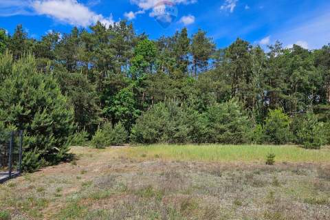 Działka budowlana 2630m2 z lasem