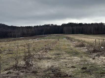Działka w Kopytowej