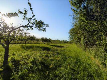 Działka 19 arów Szczepanowice