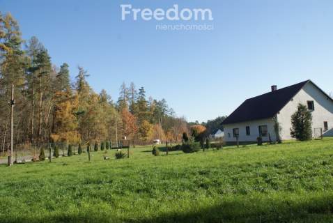 Dom z działką prawie 1,5 hektara