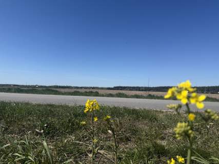 Działki między jeziorem Powidzkim a Kosewskim