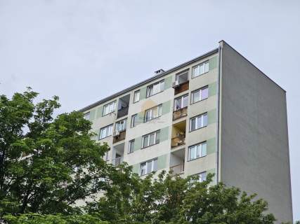 Kawalerka na wynajem Szczepin