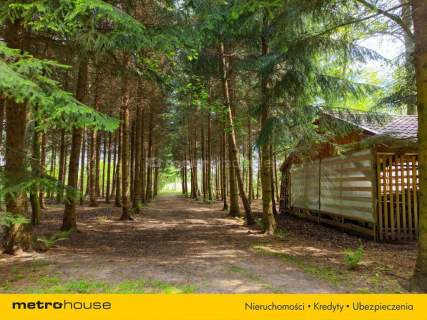 Unikatowa nieruchomość nad jeziorem Przerośl