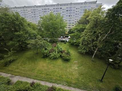 Umowa okazjonalna.