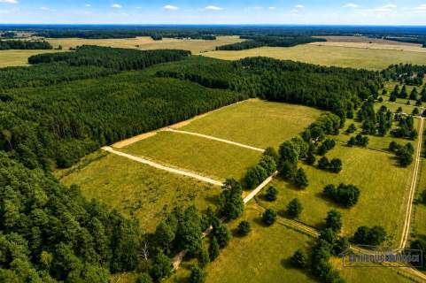 Okolica jeziora Dołgie i kompleksów leśnych.