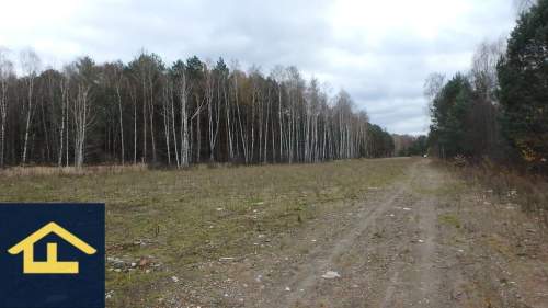 Działka budowlana w gminie Wiazowna