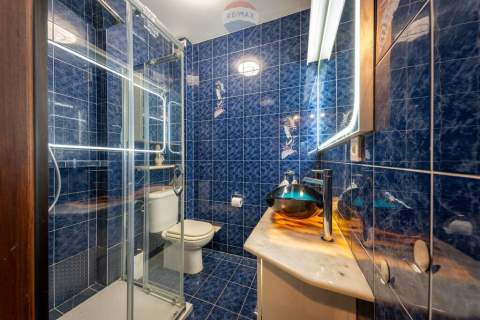Rezydencja z kompleksem SPA i basenem - Kanie