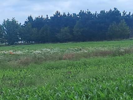 Działka budowlana na sprzedaż - ok. 1000m2 - 120 000 zł