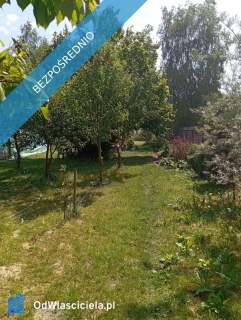 DOM NA WSI SAD, ZIELEŃ, PRZESTRZEŃ