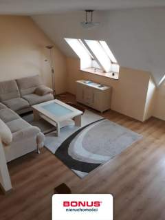 Mieszkanie do wynajęcia, 42 m2, Szczecin