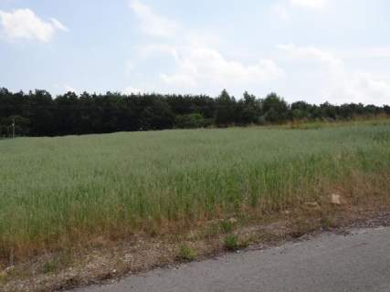 Okolice Skały-Wielmoża