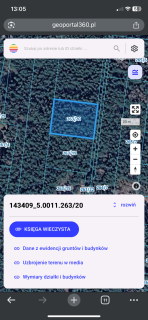 Działka w lesie