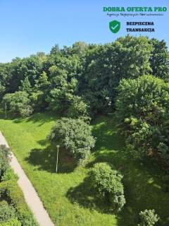 2 pokoje po remoncie z windą Siedlce