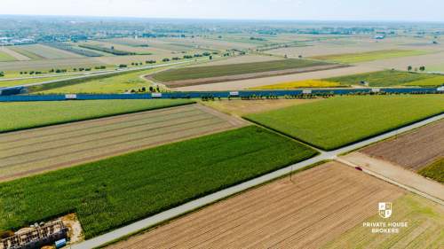 Dąbrowa obok Oleśnicy - budowlane 71 ar z MPZP
