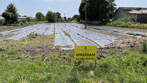 Działka budowlana 20ar Nasutów